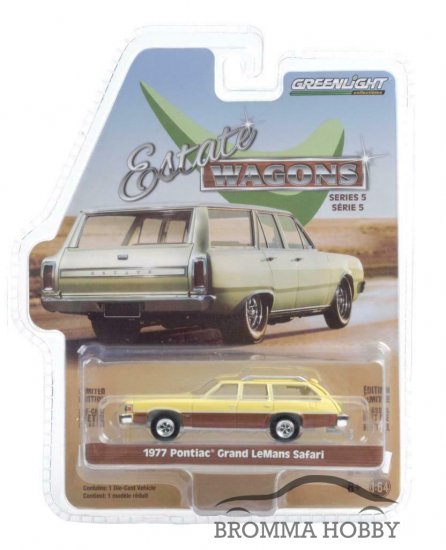 Pontiac Grand LeMans Safari (1977) - Click Image to Close